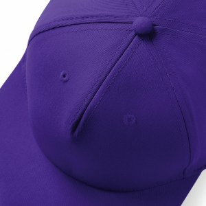 apc-rapper-snapback_2362_810.jpg